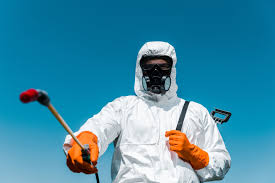 Best Bee and Wasp Removal  in Peaceful Valley, WA